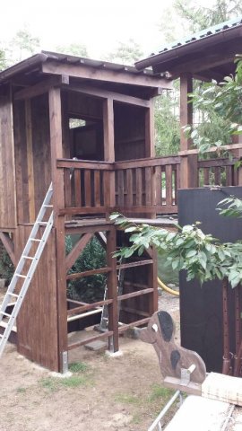 Bild8